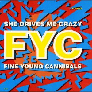 Fine Young Cannibals- She Drives Me Crazy Vinyl